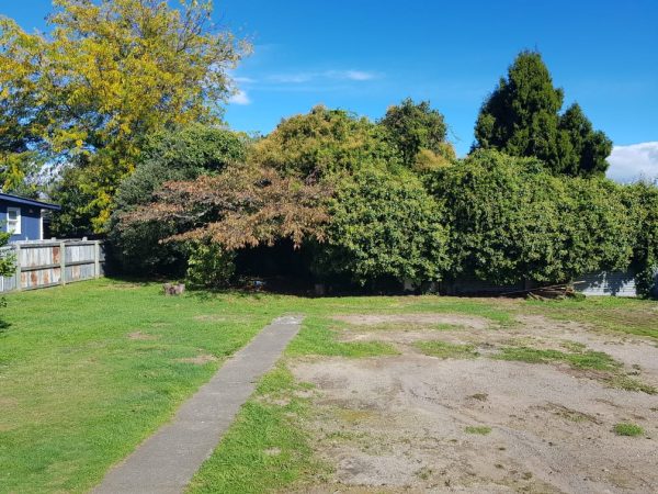 25 Scannell Street, Taupo