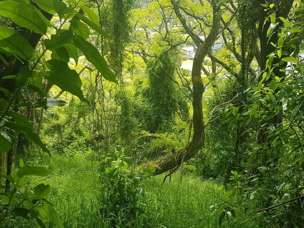 54 Parawera Drive, Acacia Bay, Taupo (Lot 41 )