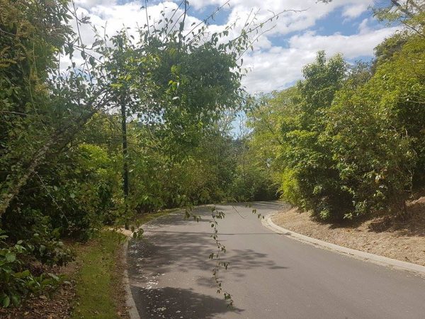 54 Parawera Drive, Acacia Bay, Taupo (Lot 41 )