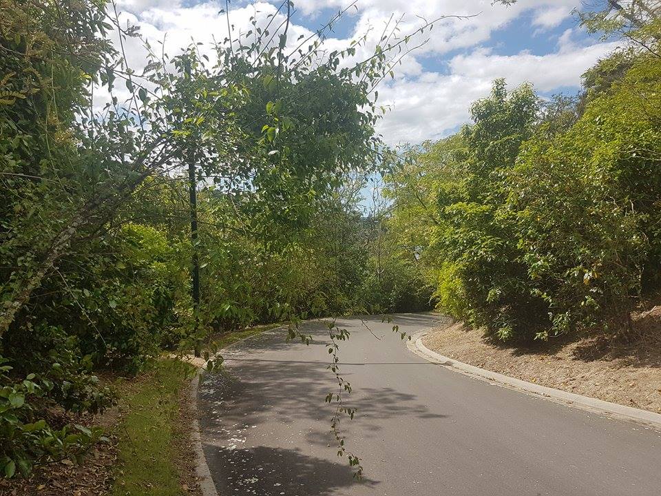 54 Parawera Drive, Acacia Bay, Taupo (Lot 41 )