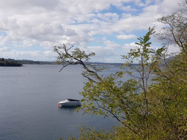 23 Parawera Drive, Acacia Bay