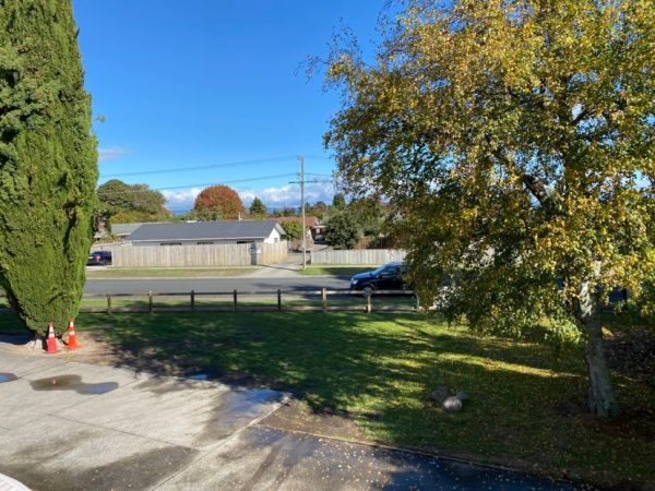 1/42 Scannell Street, Taupo