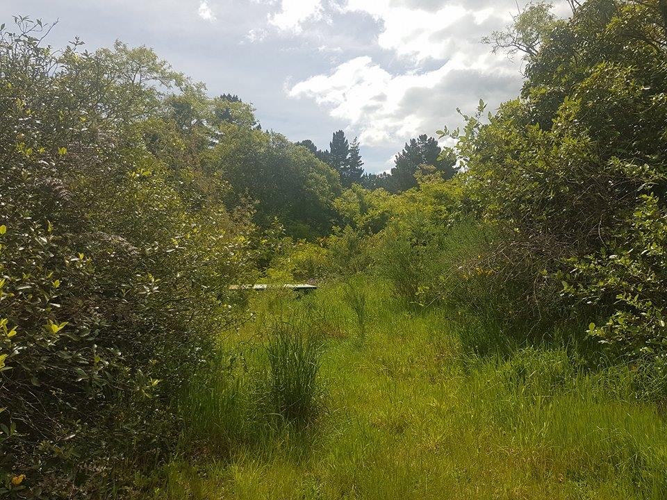 3 Parawera Drive, Acacia Bay, Taupo (Lot 70)