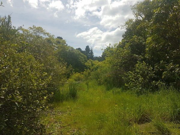 3 Parawera Drive, Acacia Bay, Taupo (Lot 70)