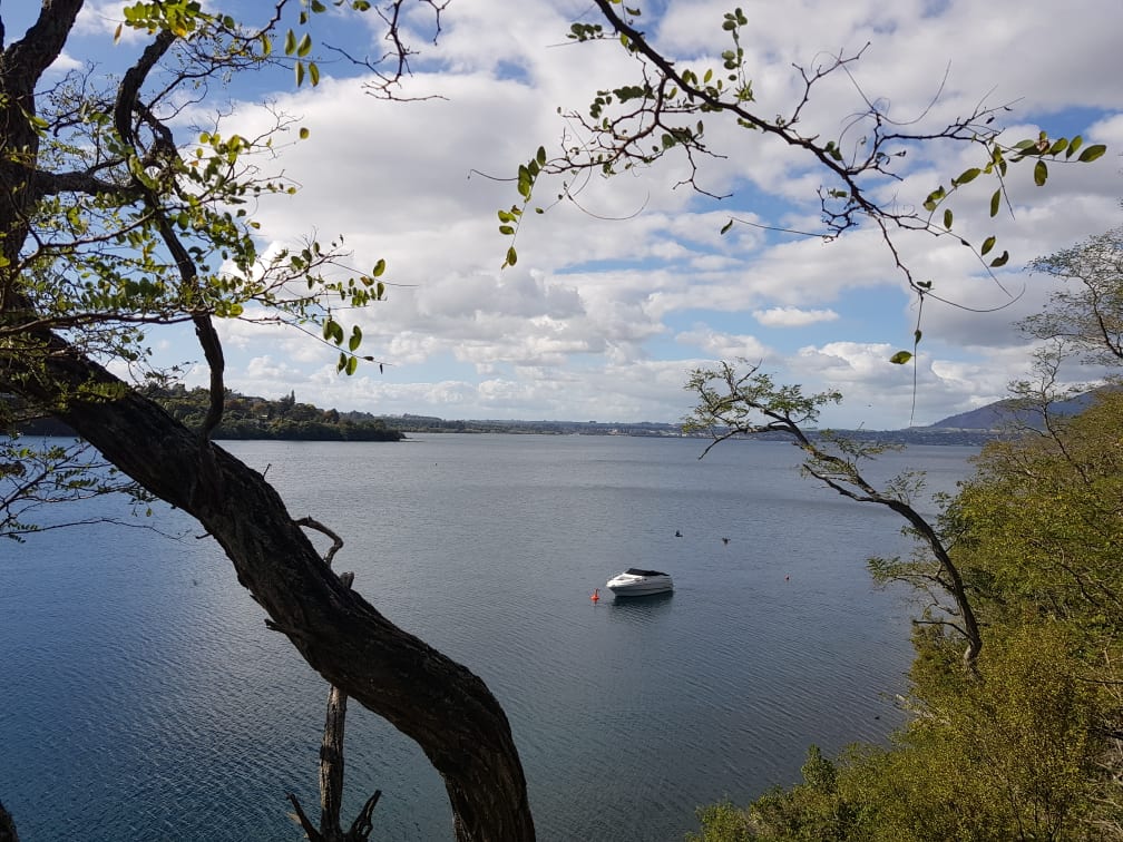 Scenic Lake Taupō waterfront with residential properties on the hill