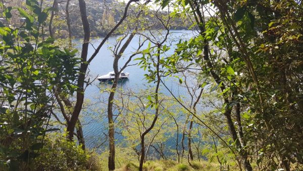 23 Parawera Drive, Acacia Bay