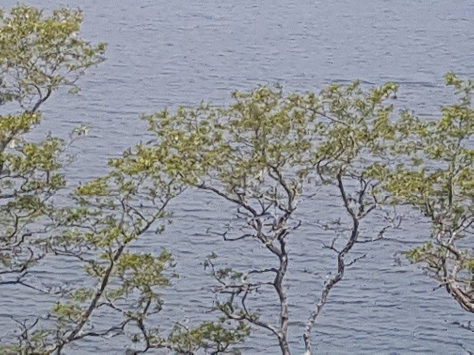 17 Parawera Drive, Acacia Bay, Taupo (Lot 1)