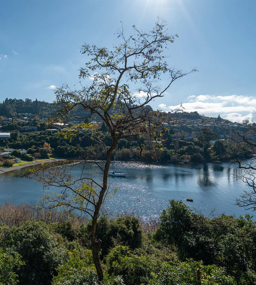 Homes and land for sale near Lake Taupō peninsula