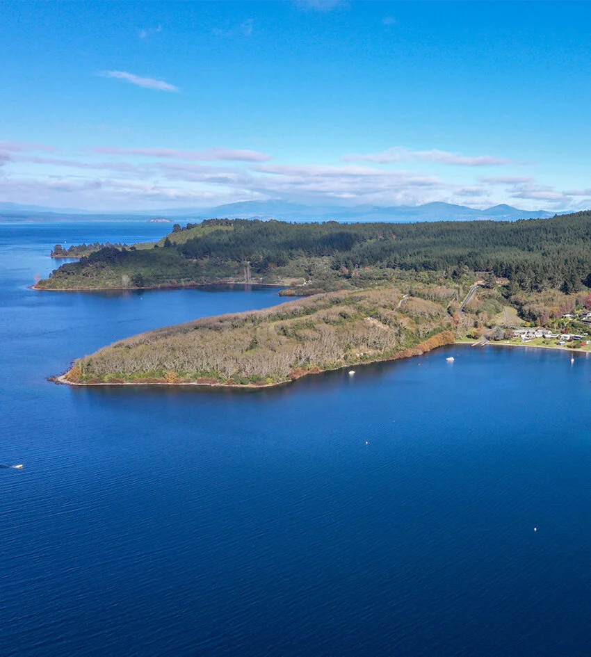 Lake Taupō peninsula with forest and waterfront properties