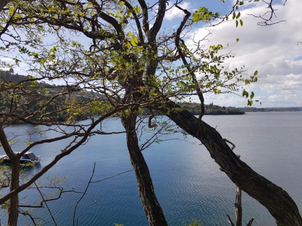 46 Parawera Drive, Acacia Bay (Lot 45)